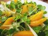 Chicory and Orange salad